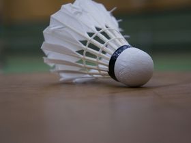 Badminton? 